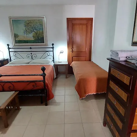 Degli Ulivi * Ossi