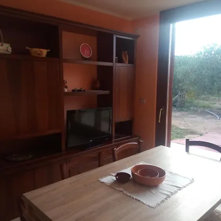 Degli Ulivi Apartment